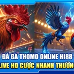 36.da ga thomo online hi88 – xem live hd cuoc nhanh thuong lon 3