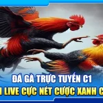 38.da ga truc tuyen c1 – xem live cuc net cuoc xanh chin 3