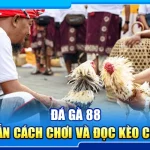 43.da ga 88 – huong dan cach choi va doc keo chuan xac 4